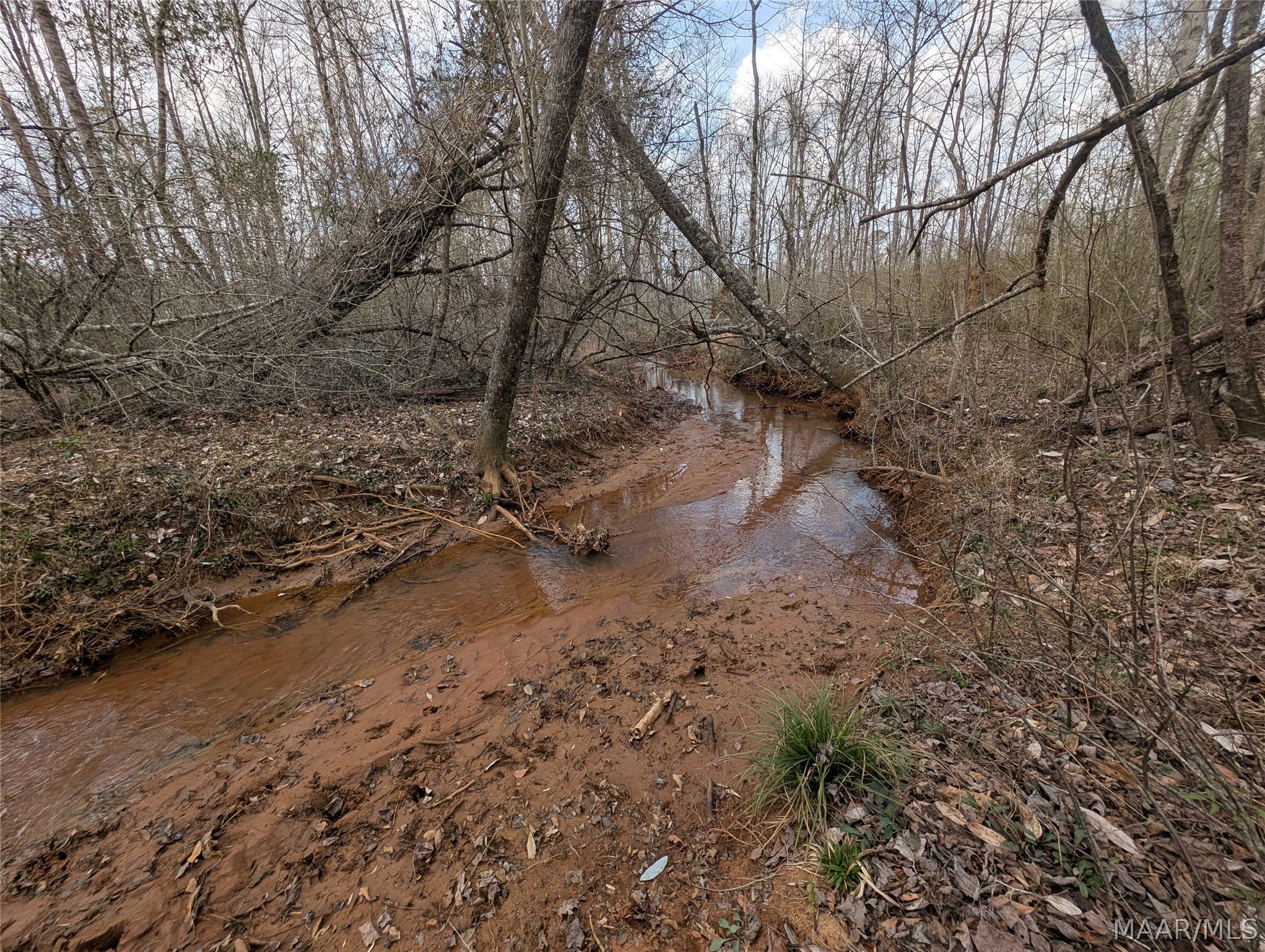 0 Butter And Egg Road Troy, AL 36081 - Photo 5 of 10 Gallery Image 5