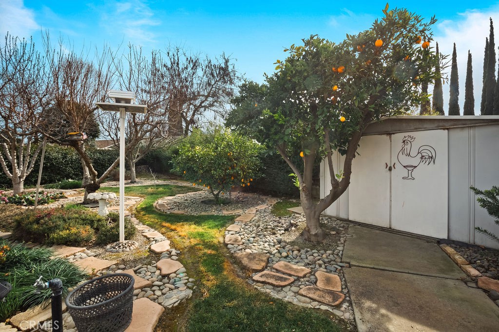 3046 El Capitan Avenue Merced, CA 95340 - Photo 15 of 18 a view of a garden with a tree