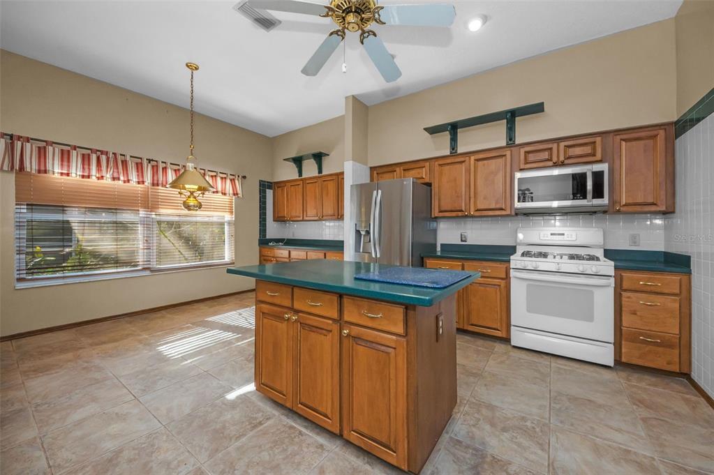 8057 Moonlight Lane New Port Richey, FL 34654 - Photo 17 of 82