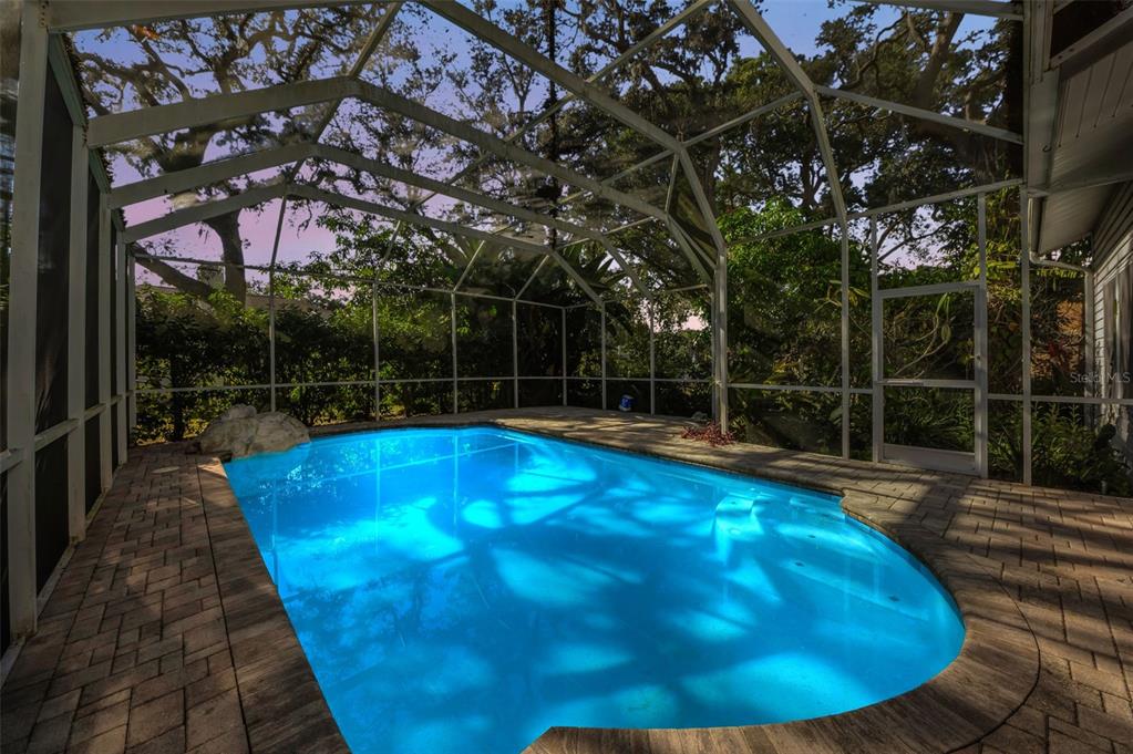 8057 Moonlight Lane New Port Richey, FL 34654 - Photo 2 of 82