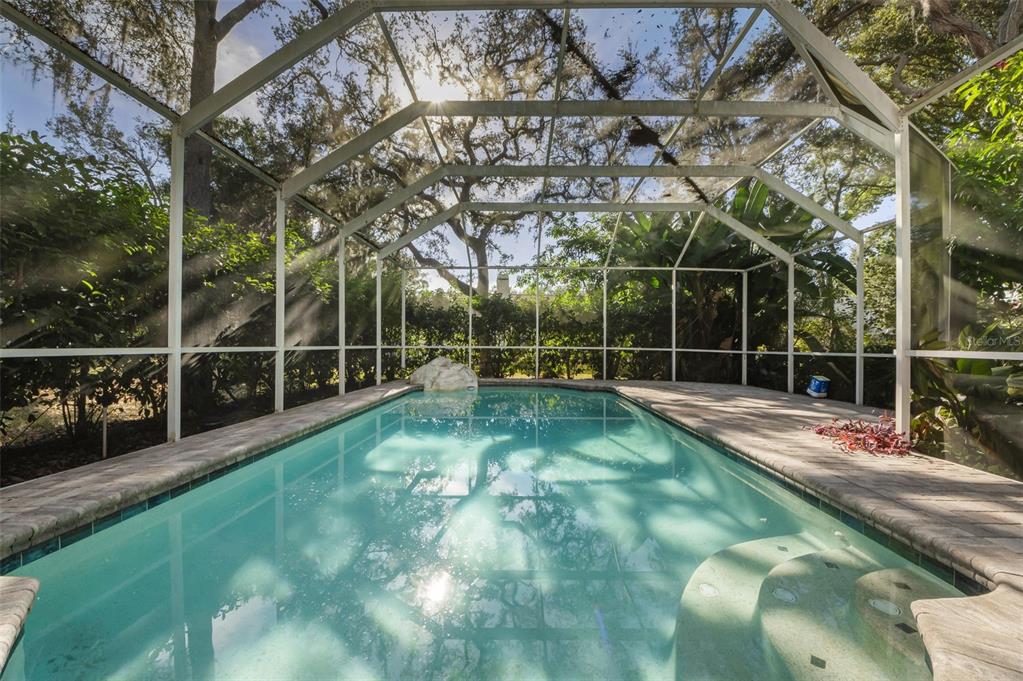 8057 Moonlight Lane New Port Richey, FL 34654 - Photo 58 of 82