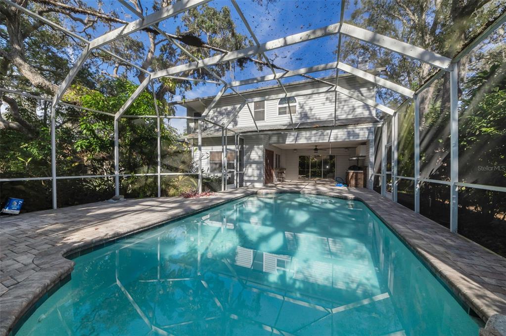 8057 Moonlight Lane New Port Richey, FL 34654 - Photo 60 of 82