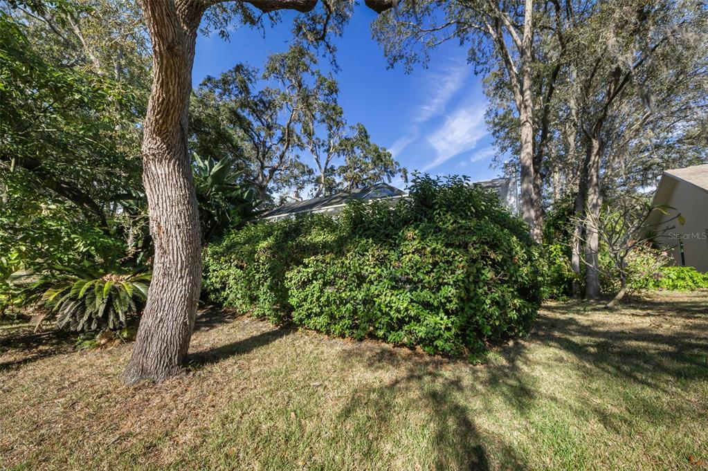 8057 Moonlight Lane New Port Richey, FL 34654 - Photo 62 of 82