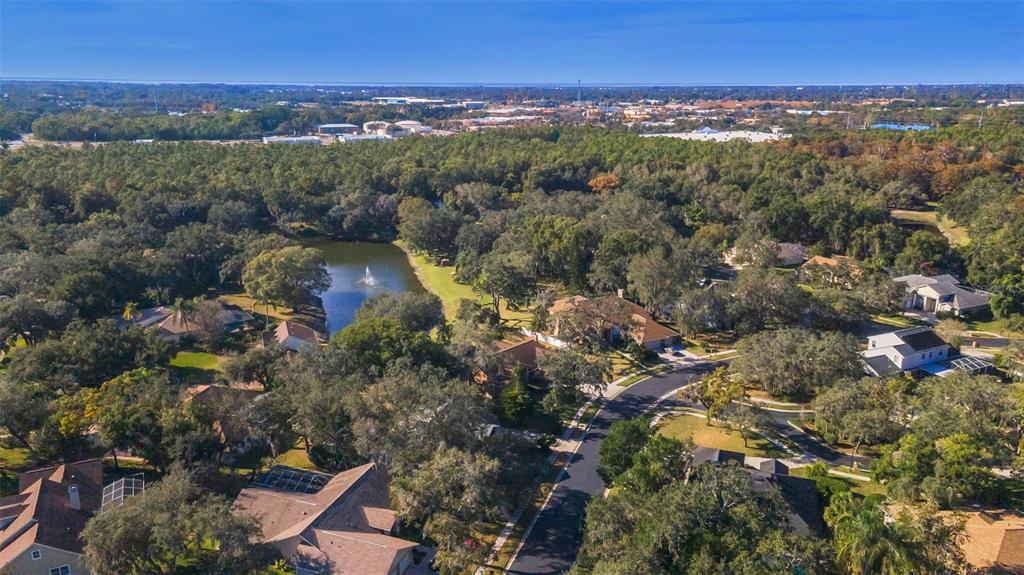 8057 Moonlight Lane New Port Richey, FL 34654 - Photo 64 of 82