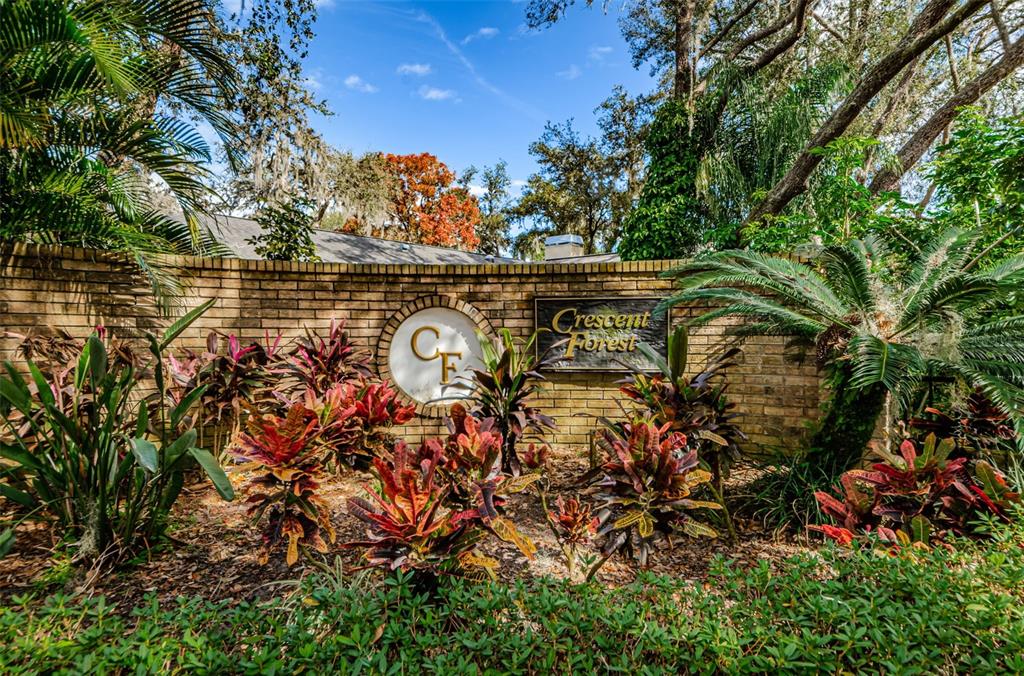 8057 Moonlight Lane New Port Richey, FL 34654 - Photo 67 of 82