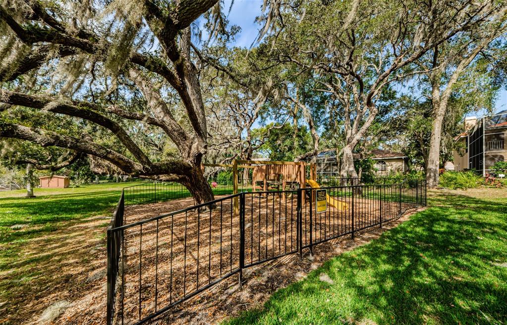 8057 Moonlight Lane New Port Richey, FL 34654 - Photo 73 of 82