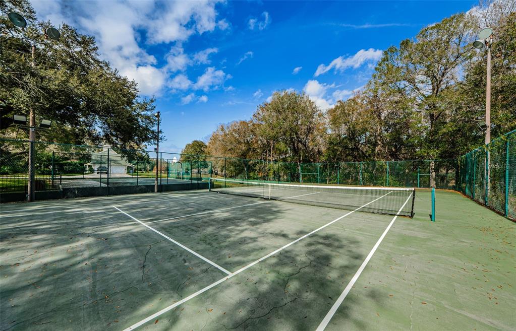 8057 Moonlight Lane New Port Richey, FL 34654 - Photo 75 of 82