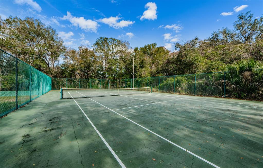 8057 Moonlight Lane New Port Richey, FL 34654 - Photo 76 of 82