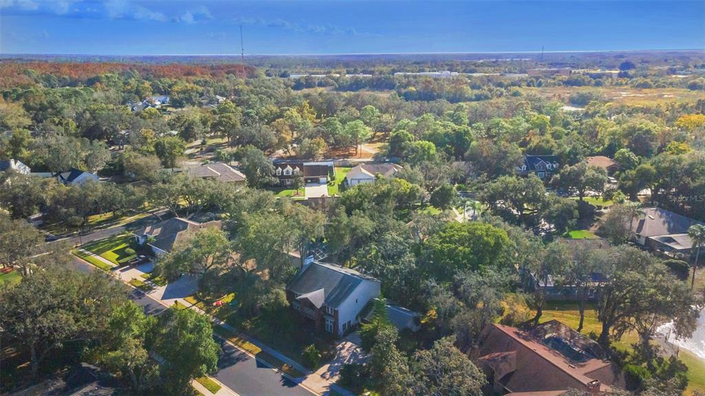 8057 Moonlight Lane New Port Richey, FL 34654 - Photo 79 of 82