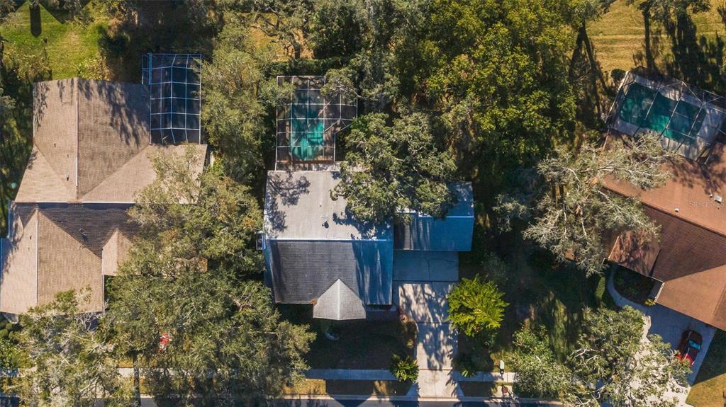 8057 Moonlight Lane New Port Richey, FL 34654 - Photo 80 of 82