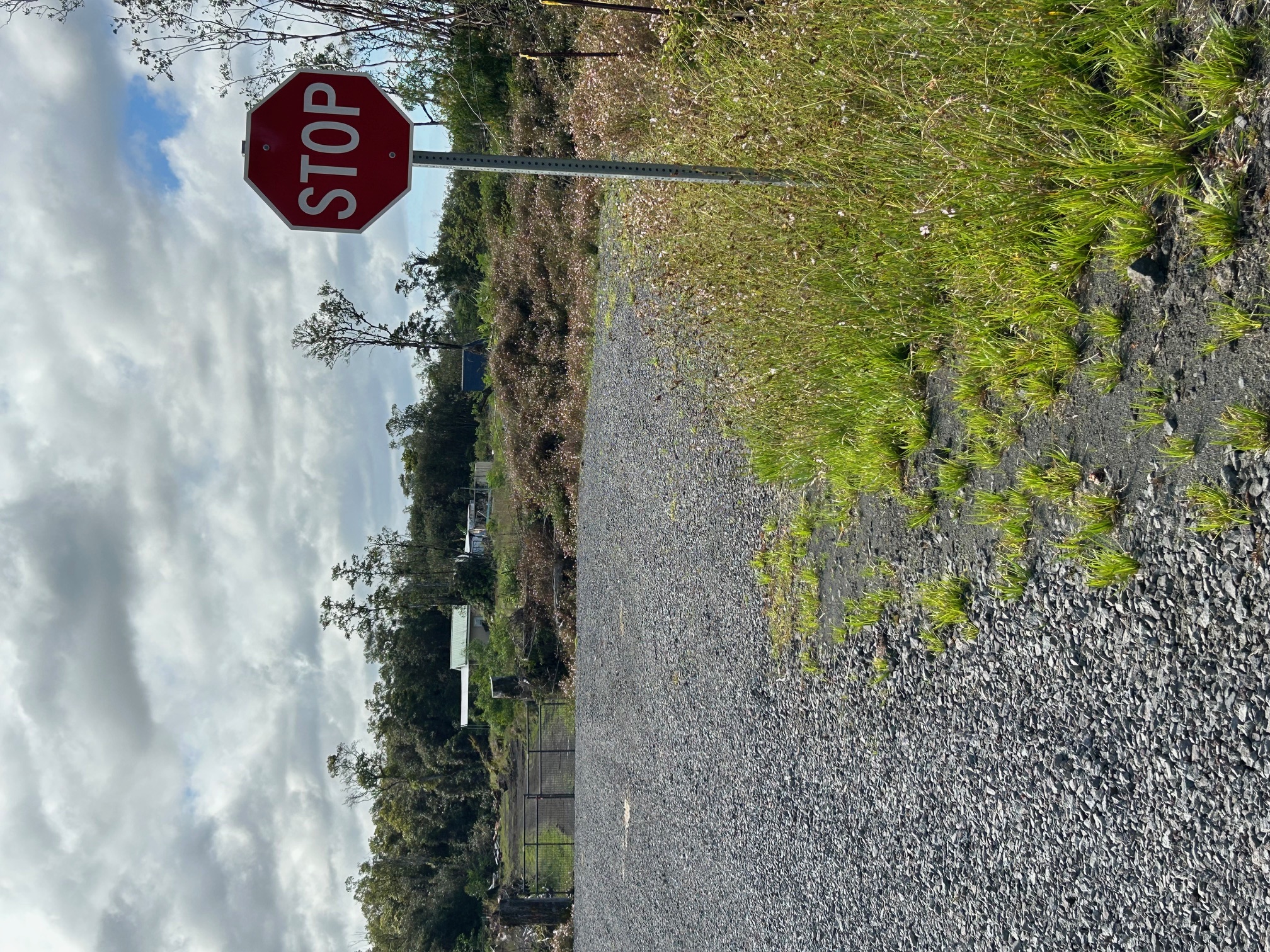18-1309 Lot 10-d Ihope Rd Mountain View Mountain View, HI 96771 - Photo 11 of 17 a view of a street with of house