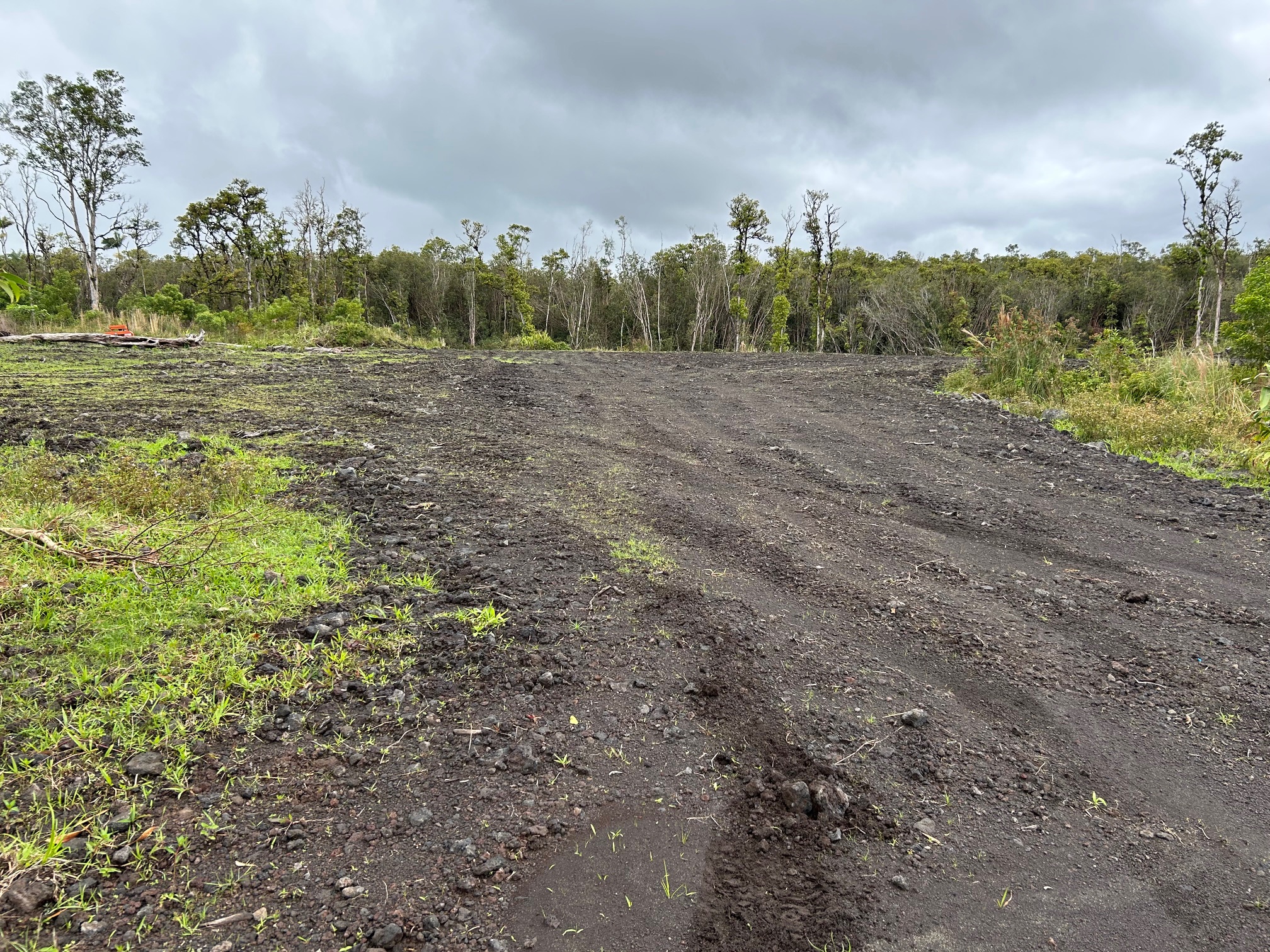 18-1309 Lot 10-d Ihope Rd Mountain View Mountain View, HI 96771 - Photo 10 of 17 a view of a field with trees in the background
