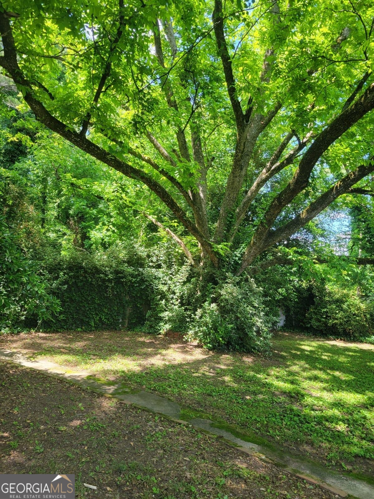 6127 Floyd Street Northeast Covington, GA 30014 - Photo 5 of 23 a view of outdoor space and yard