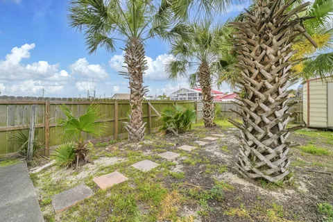 a view of backyard and trees