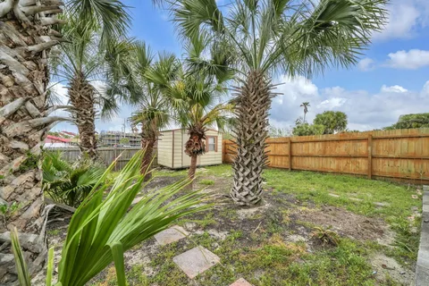 a view of a backyard