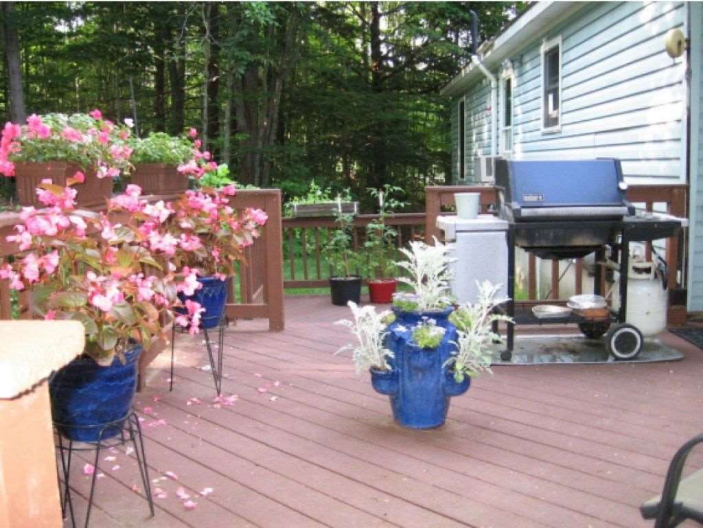 193 Coaster Road Loudon, NH 03307 - Photo 26 of 30 Gallery Image 26