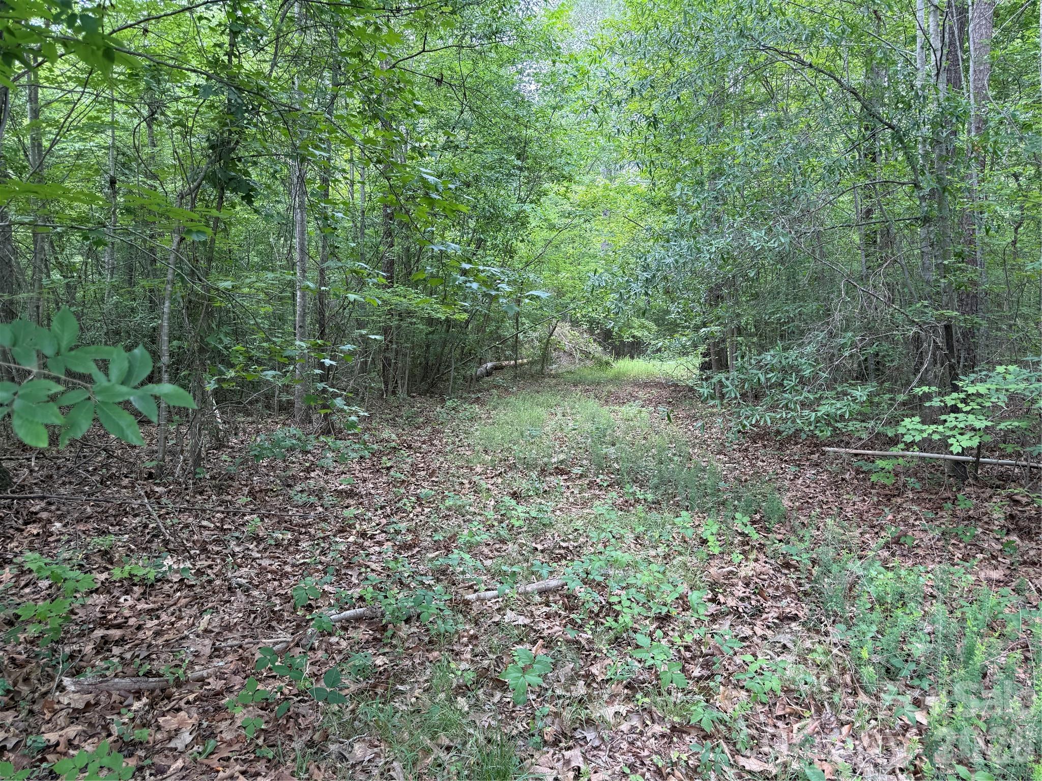0 Herbert Faucette Road Bullock, NC 27507 - Photo 28 of 40