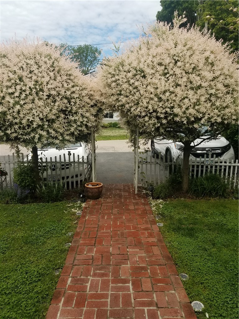 23 Shields Street, Unit 21 Newport, RI 02840 - Photo 2 of 19