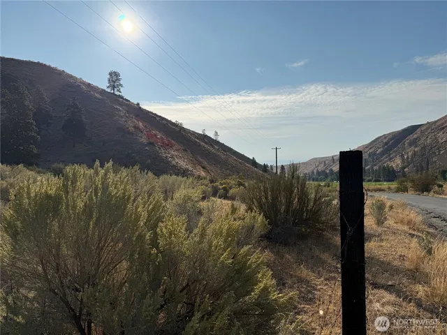 a view of a yard with a tree