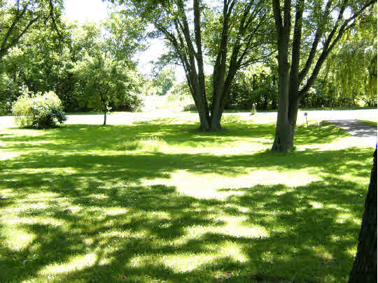 8299 Friday Road Davis Junction, IL 61020 - Photo 3 of 10 a view of yard with tree s