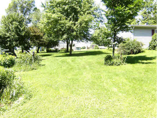 8299 Friday Road Davis Junction, IL 61020 - Photo 4 of 10 a view of a yard with a tree