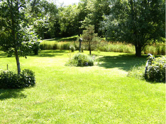 8299 Friday Road Davis Junction, IL 61020 - Photo 6 of 10 a view of backyard with swimming pool