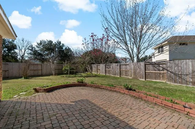 a view of a park that has a large tree