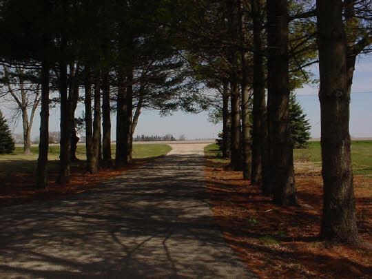 1644 Ridge Road Mt Morris, IL 61054 - Photo 3 of 8 a view of a yard
