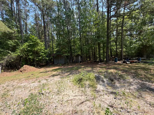 $250,000 | 2022 Lumber Road, Ruffin, SC 29475