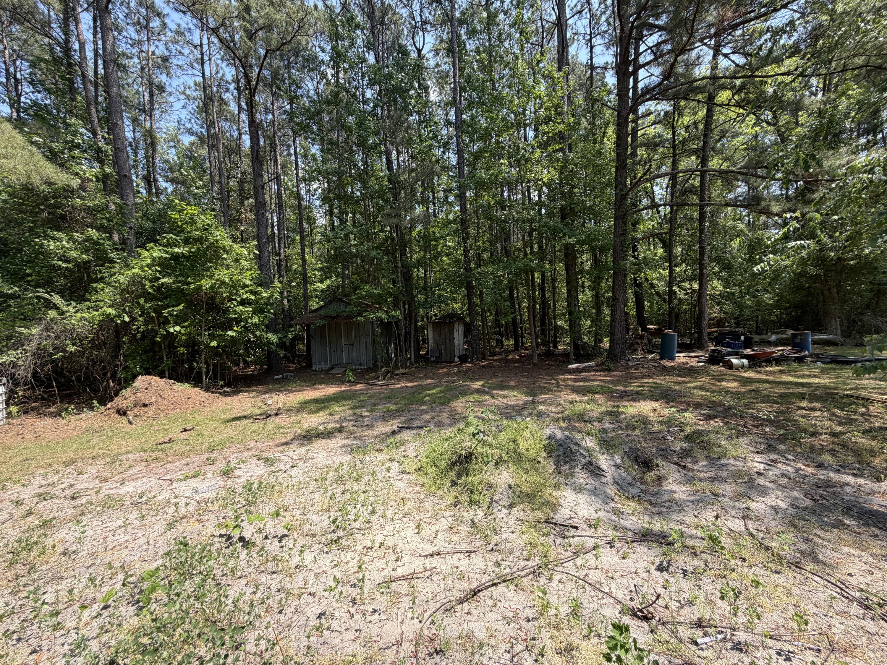 2022 Lumber Road Ruffin, SC 29475 - Photo 19 of 51 IMG_0108