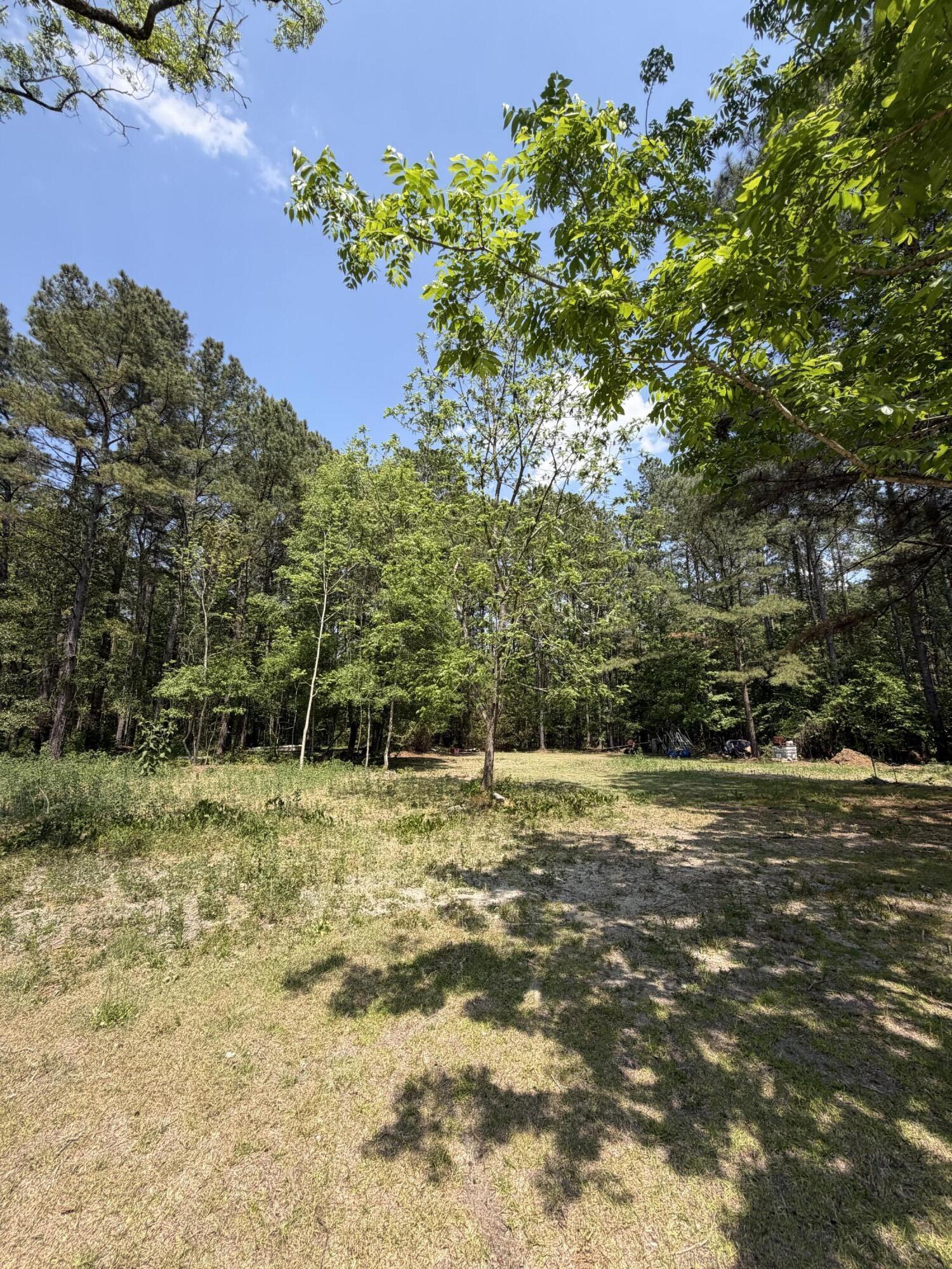 2022 Lumber Road Ruffin, SC 29475 - Photo 20 of 51 IMG_0105