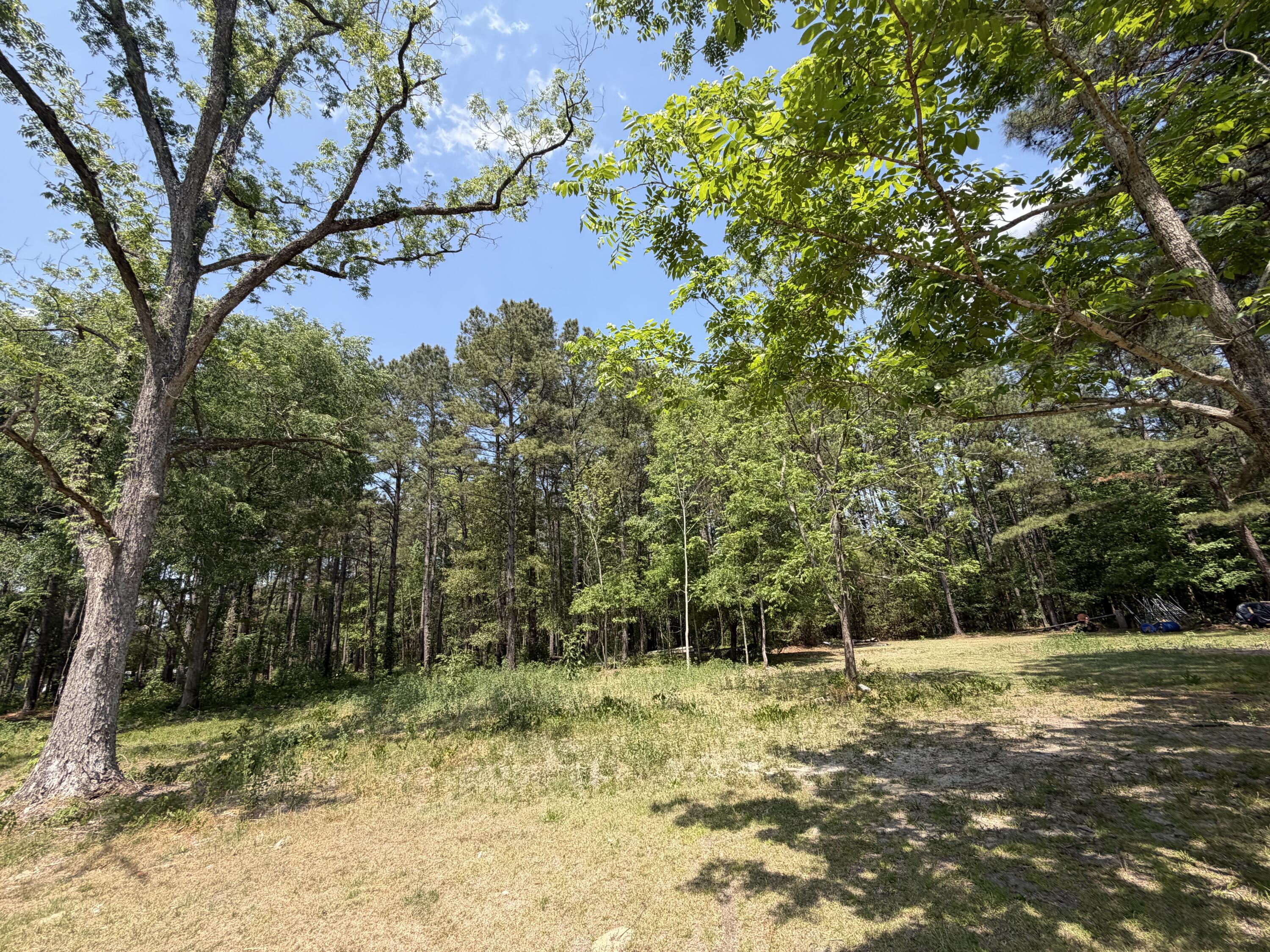 2022 Lumber Road Ruffin, SC 29475 - Photo 21 of 51 IMG_0103