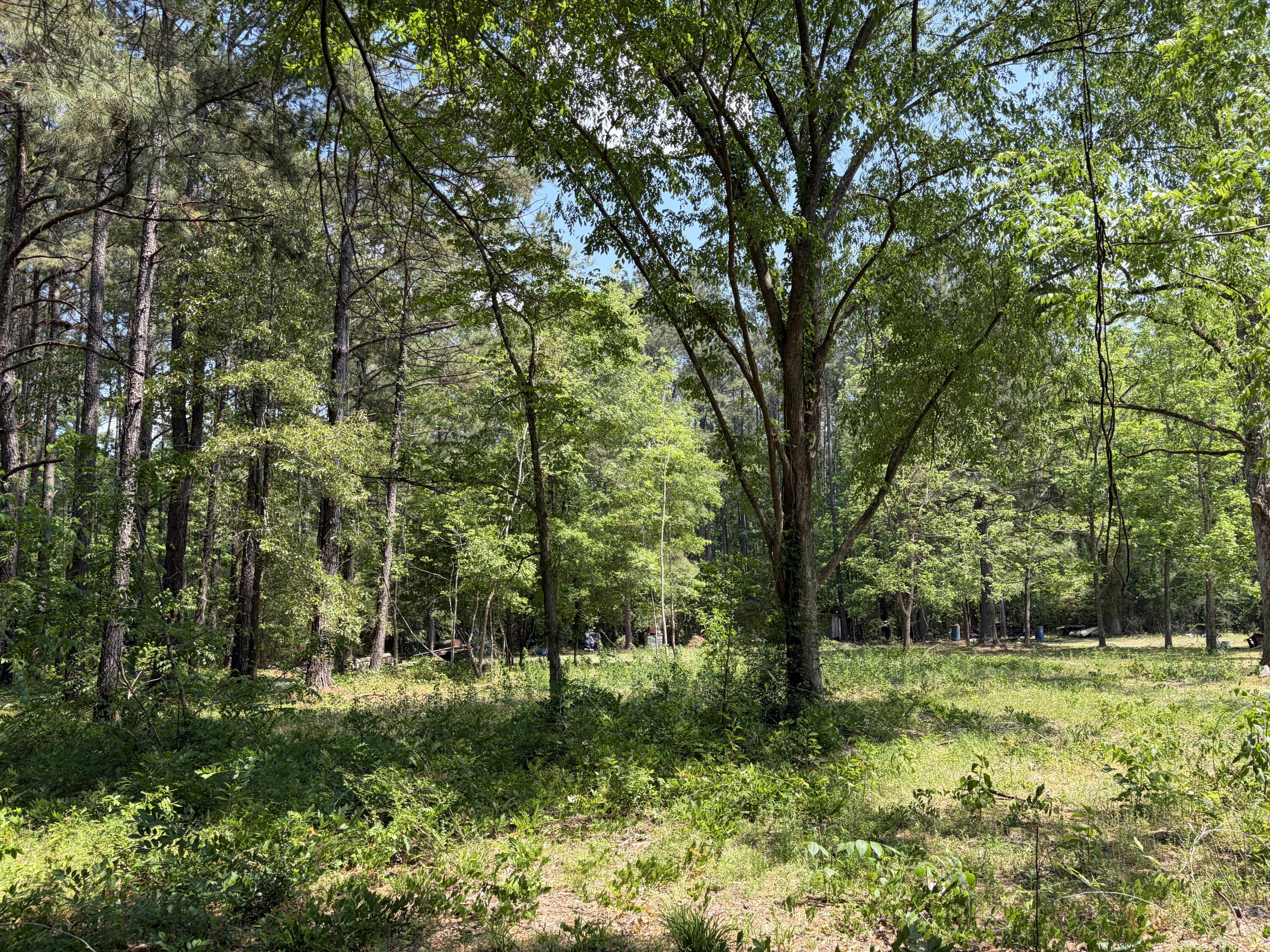 2022 Lumber Road Ruffin, SC 29475 - Photo 22 of 51 IMG_0156