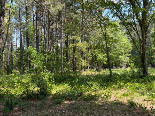 $250,000 | 2022 Lumber Road, Ruffin, SC 29475
