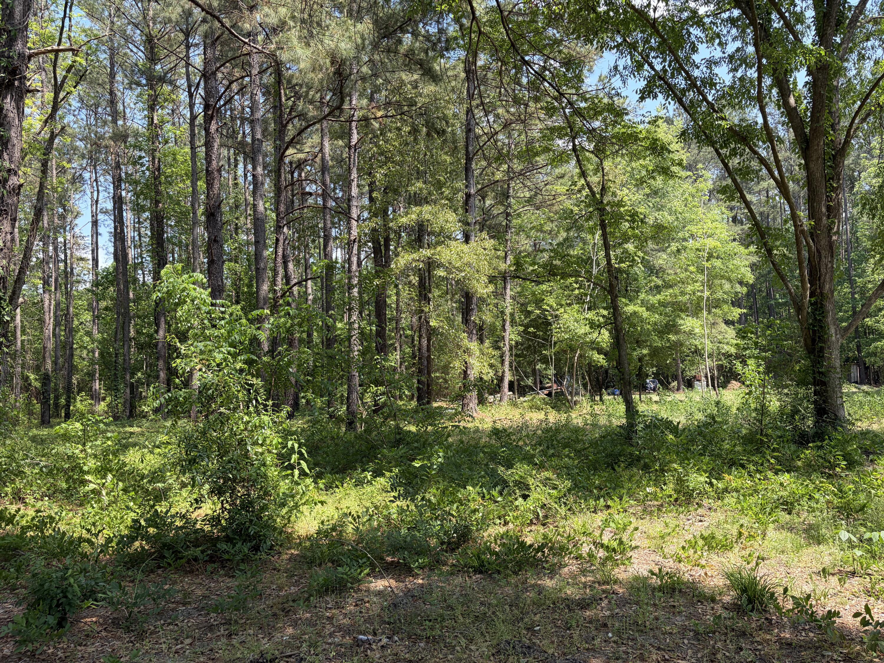 2022 Lumber Road Ruffin, SC 29475 - Photo 23 of 51 IMG_0155
