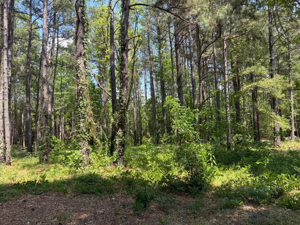 $250,000 | 2022 Lumber Road, Ruffin, SC 29475