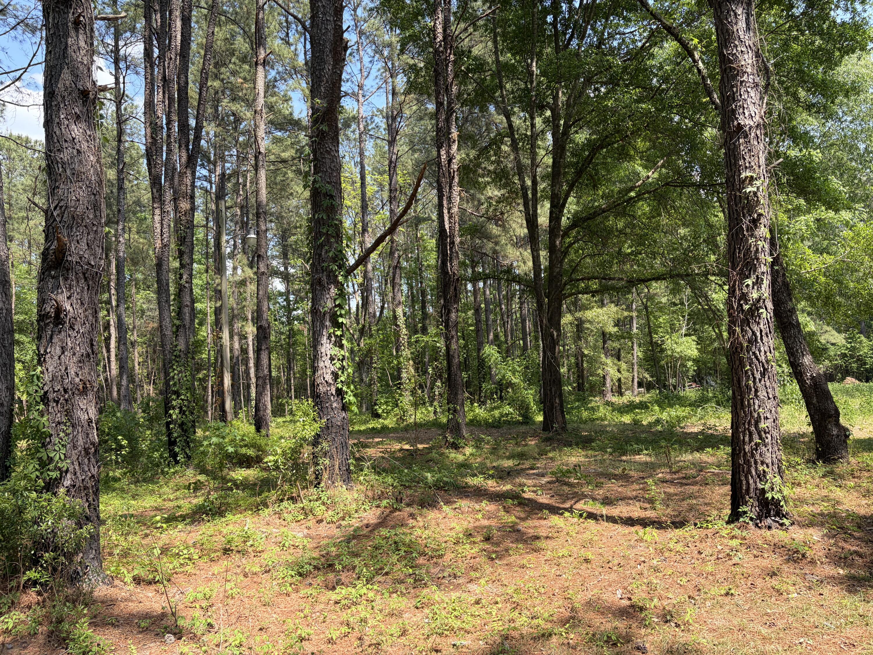 2022 Lumber Road Ruffin, SC 29475 - Photo 25 of 51 IMG_0152