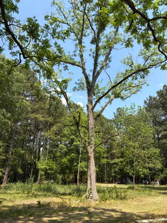 $250,000 | 2022 Lumber Road, Ruffin, SC 29475