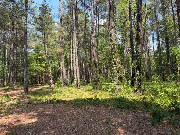 $250,000 | 2022 Lumber Road, Ruffin, SC 29475