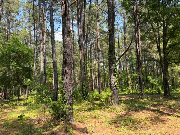$250,000 | 2022 Lumber Road, Ruffin, SC 29475