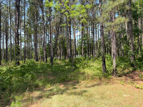 $250,000 | 2022 Lumber Road, Ruffin, SC 29475
