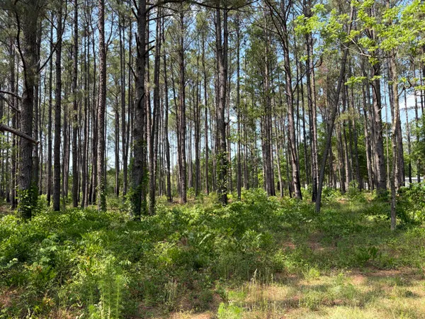 $250,000 | 2022 Lumber Road, Ruffin, SC 29475