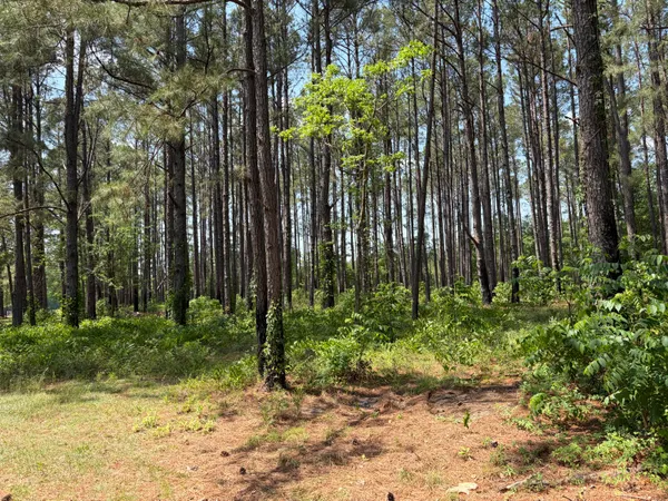 $250,000 | 2022 Lumber Road, Ruffin, SC 29475
