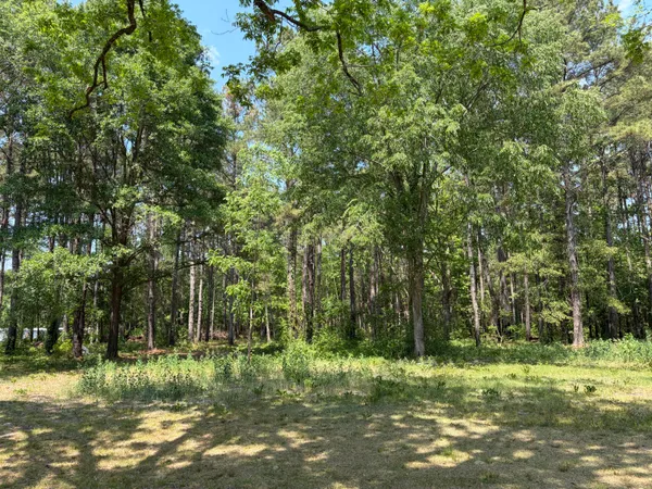 $250,000 | 2022 Lumber Road, Ruffin, SC 29475