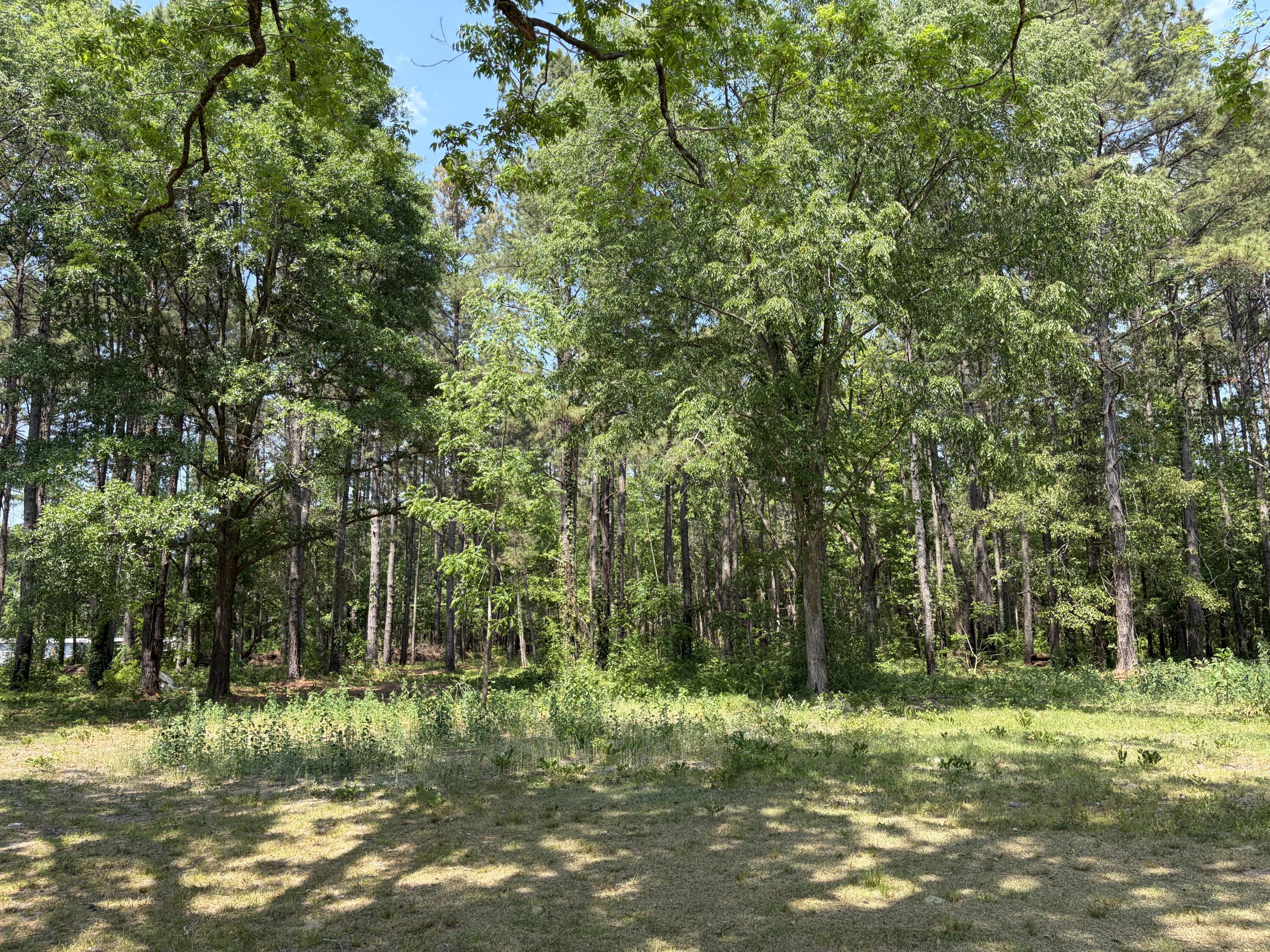 2022 Lumber Road Ruffin, SC 29475 - Photo 48 of 51 IMG_0146
