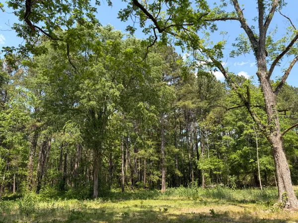 $250,000 | 2022 Lumber Road, Ruffin, SC 29475