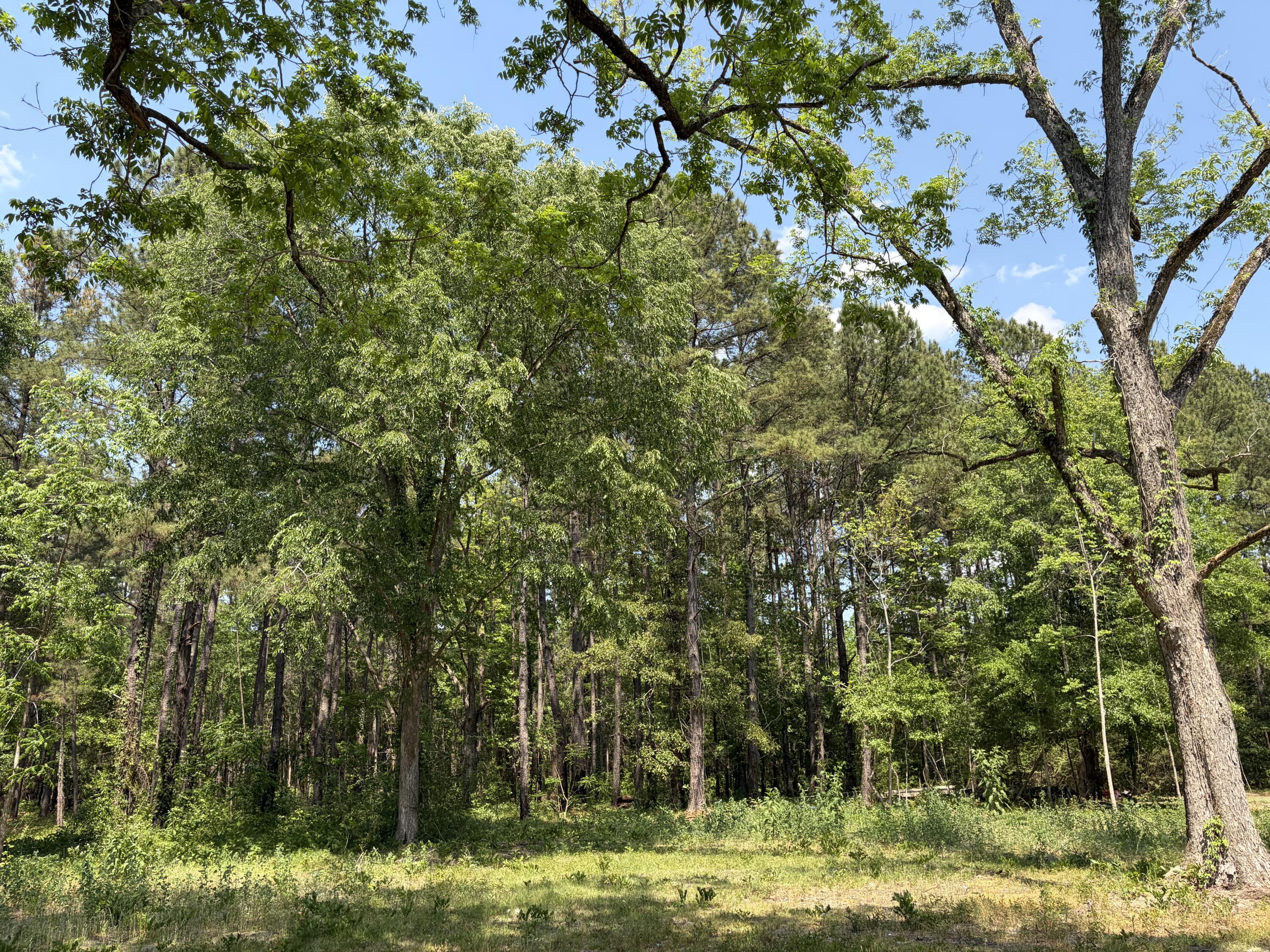 2022 Lumber Road Ruffin, SC 29475 - Photo 49 of 51 IMG_0143 (1)