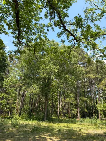 $250,000 | 2022 Lumber Road, Ruffin, SC 29475
