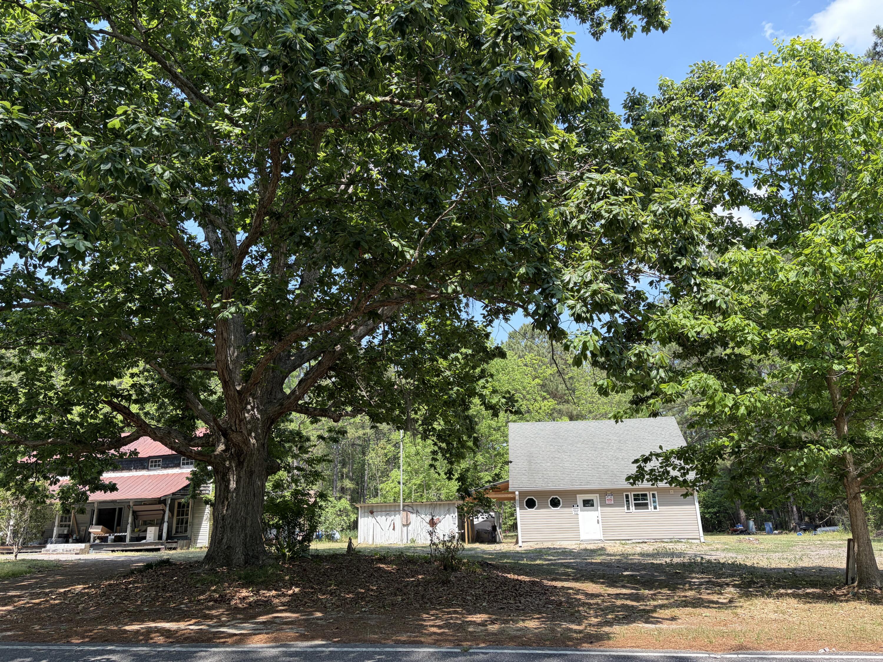 2022 Lumber Road Ruffin, SC 29475 - Photo 51 of 51 IMG_0082 (1)
