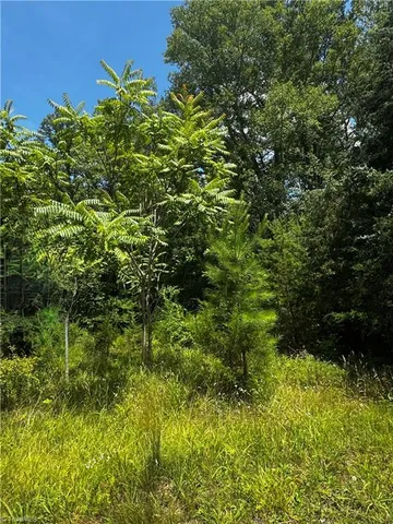 $105,000 | 301 Pryor Road, Pelham, NC 27311